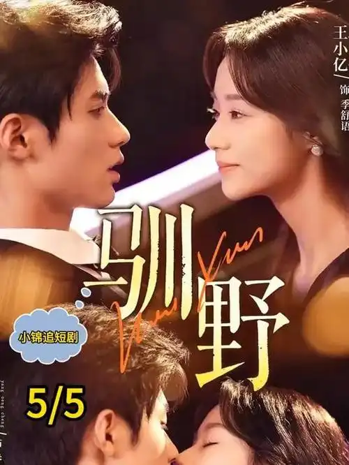 雾港迷局 热播电视剧全集在线观看